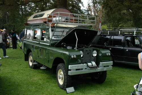 IMGP5786.JPG